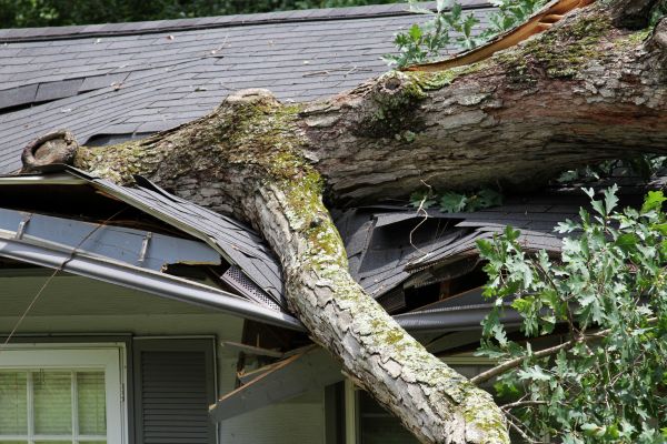 Cost of Storm Remediation in Vero Beach