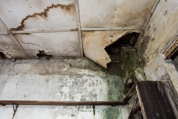 Water Damage Service in Vero Beach