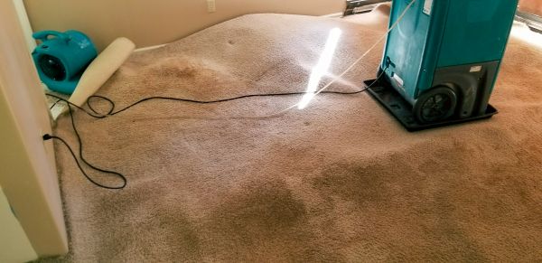 Flood Damage Cleanup in Vero Beach