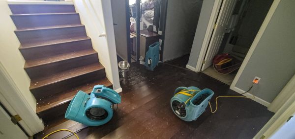 Water Damage Remediation in Vero Beach