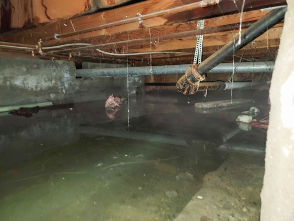 Crawlspace Water Restoration in Vero Beach